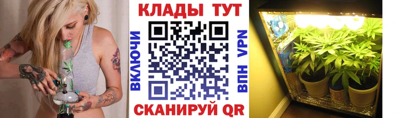 Купить наркотики цена Сковородино A-PVP Псилоцибиновые грибы МЕФ