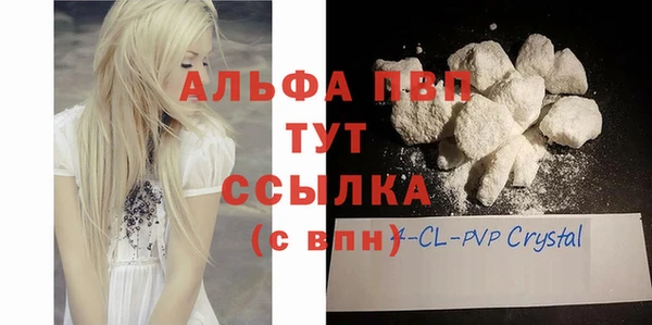 прущие грибы Сосновка