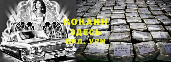 молекула духа Горняк