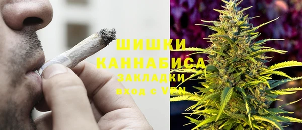 молекула духа Горняк