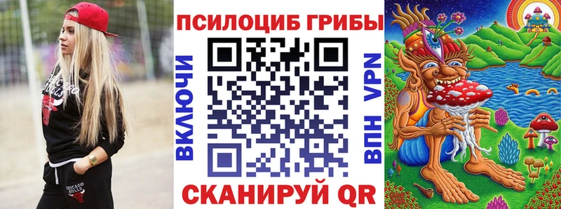 купить закладку  сайты даркнета телеграм  Псилоцибиновые грибы GOLDEN TEACHER  Сковородино 
